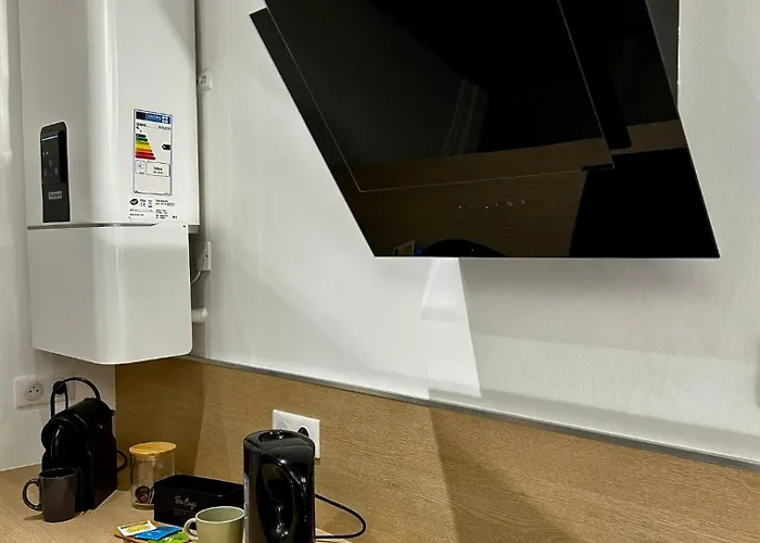 Appartement Le Petit Godron Nancy