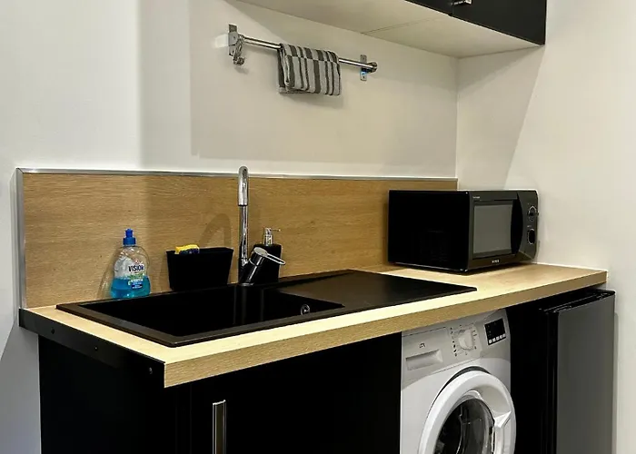 Le Petit Godron Apartment Nancy