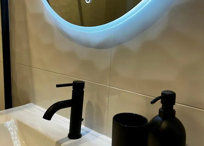 Le Petit Godron Apartment Nancy